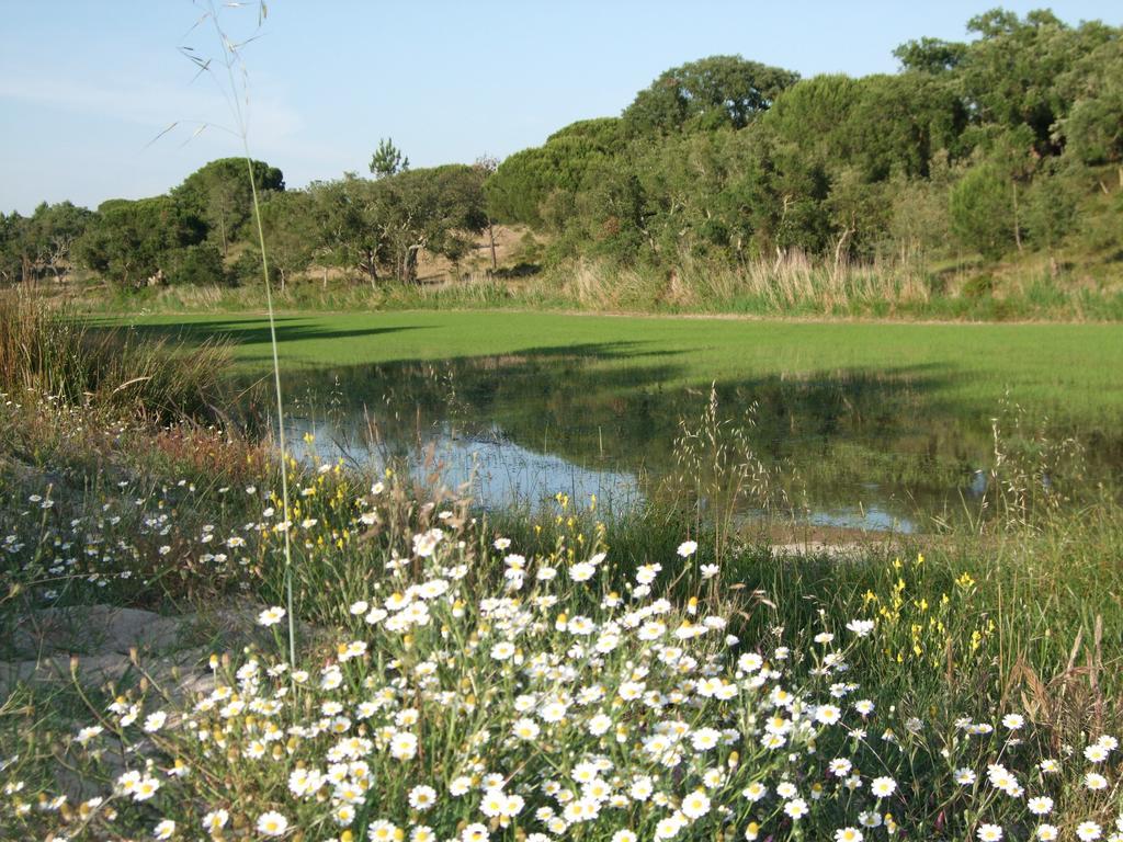 Herdades Da Ameira - Monte Do Arrozal Alcácer do Sal Zimmer foto